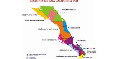 ESTADO DE SINALOA