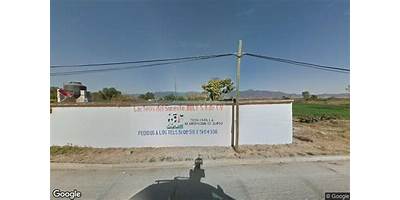 FEDERICO MANERO