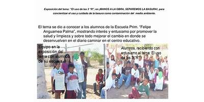 FELIPE ANGUAMEA PALMA