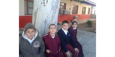 Imagen de la galería