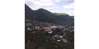 FLORES MAGON