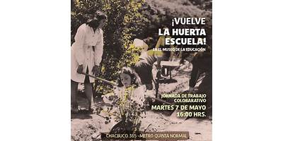 Imagen de la galería
