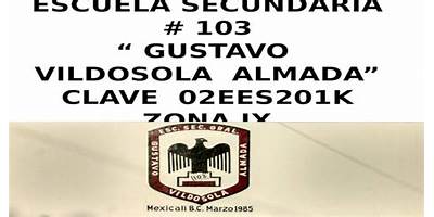 GUSTAVO VILDOSOLA ALMADA NUM. 103