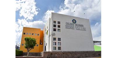 HENRY WALLON