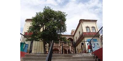 Imagen de la galería