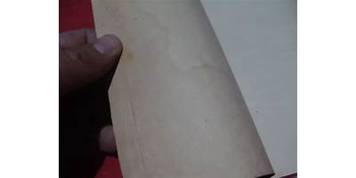 HIMNO NACIONAL MEXICANO