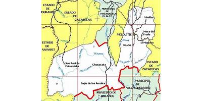 HUIZACHE