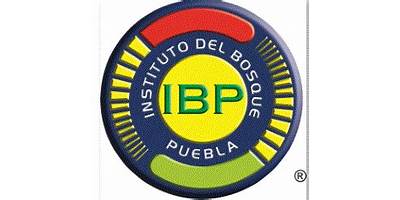 INSTITUTO DEL BOSQUE