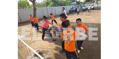 Imagen de la galería