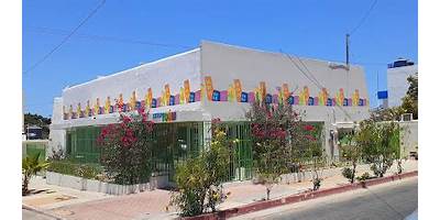 INSTITUTO LITTLE TOWN