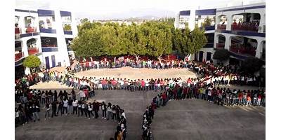 Imagen de la galería