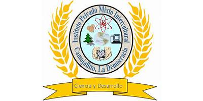 INSTITUTO PEDAGOGICO SMART KIDS