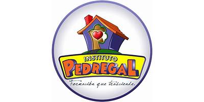 INSTITUTO PEDREGAL, S.C.