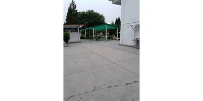 INSURGENTES