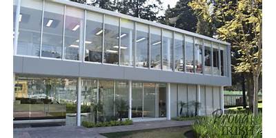 IRISH INSTITUTE MEXICO