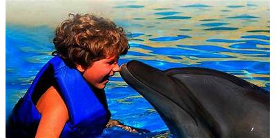 JARDIN DE NIÑOS LOS DELFINES