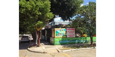 Imagen de la galería