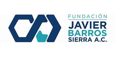 JAVIER BARROS SIERRA