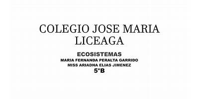 JOSE CASIMIRO LICEAGA