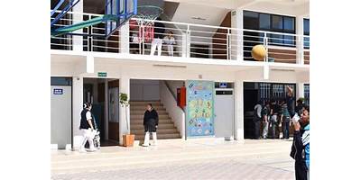 Imagen de la galería