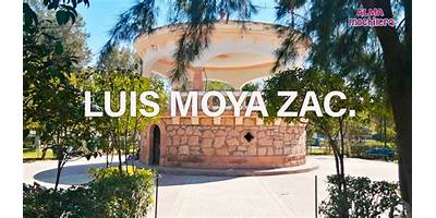 JOSE LUIS MOYA