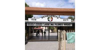 JOSE MA FLORES ROSAS