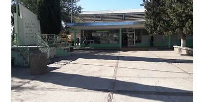Imagen de la galería
