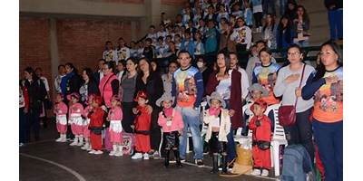 Imagen de la galería