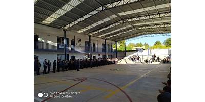 Imagen de la galería