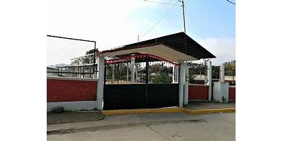 Imagen de la galería