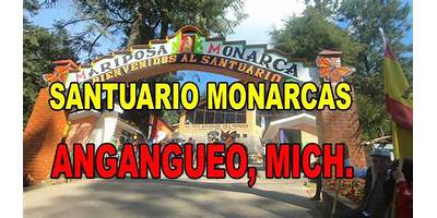 LA MONARCA