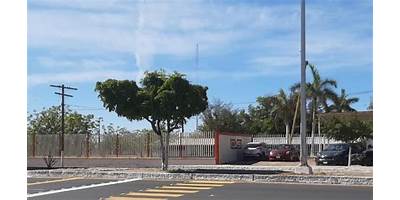 LA PITAHAYITA
