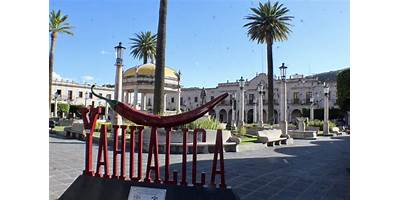LA TAPONA
