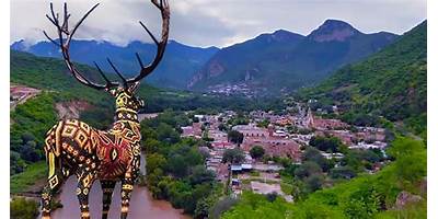 LAS PALOMAS