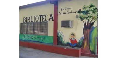LAZARO SALINAS ALANIS