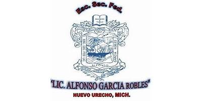 LIC. ALFONSO GARCIA ROBLES