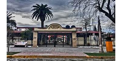Imagen de la galería