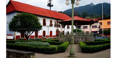 LOS PINOS