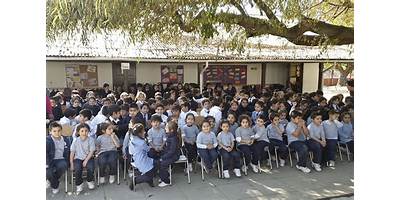 Imagen de la galería