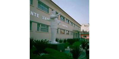 Imagen de la galería