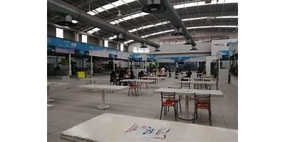 Imagen de la galería
