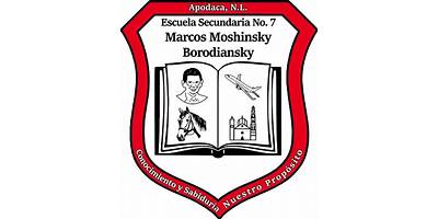 MARCOS MOSHINSKY BORODIANSKY