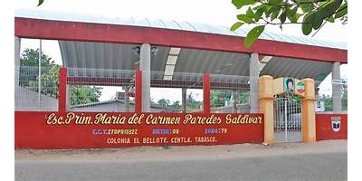 MARIA DEL CARMEN PAREDES SALDIVAR