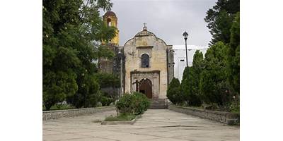 MARTHA LILIA IBARRA RODRIGUEZ