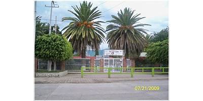 MELCHOR OCAMPO