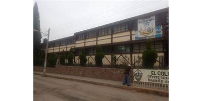 Imagen de la galería