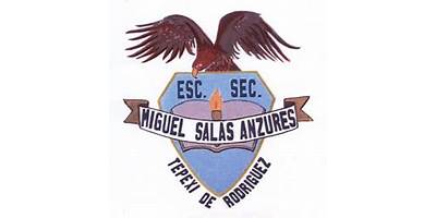 MIGUEL SALAS ANZURES