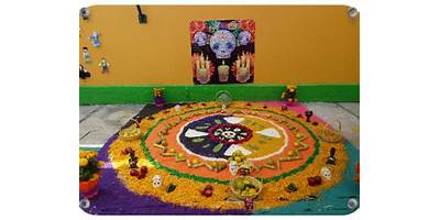 MOLIERE KINDER GARDEN