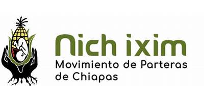 NICH IXIM