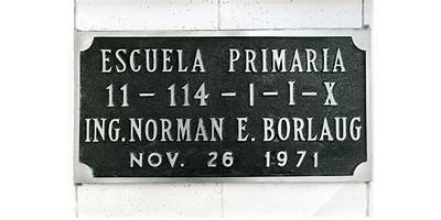 NORMAN E BORLAUG